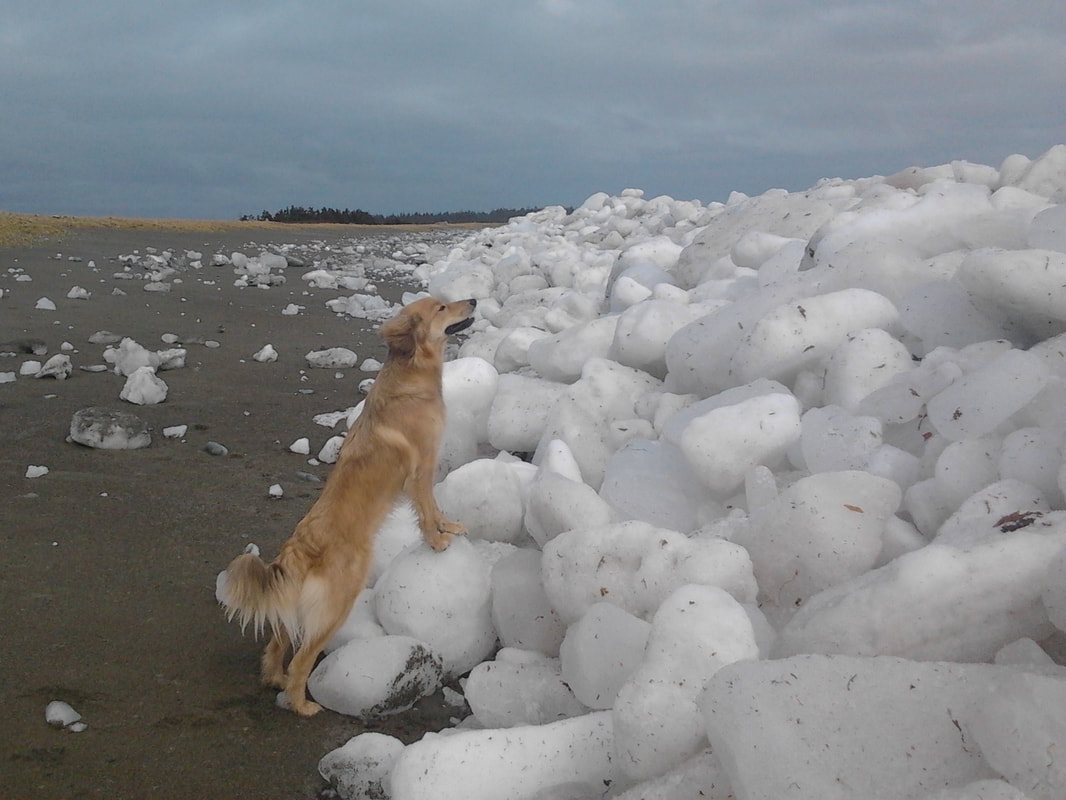 Ice pile up in Cape Breton