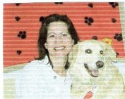 therapy dog canine cancer