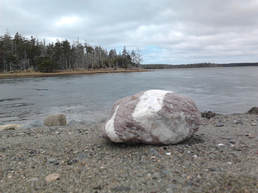 I found the perfect rock at the ocean - purple, white and even has an image of a man in the white. Who said rocks are not alive is wrong!