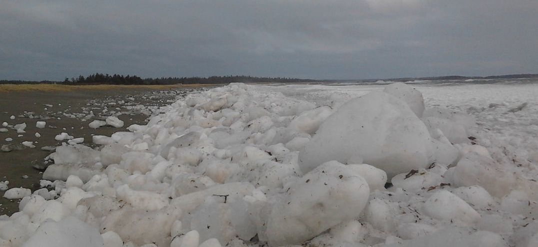 ice flow blocks ocean shore in Cape Breton