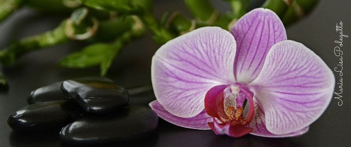 The benefits of massage through acupressure and essential oils.
